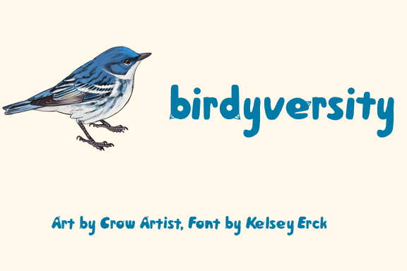 birdyversity newsletter logo